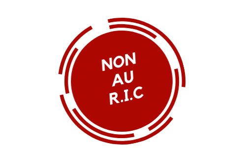 Je suis contre le Référendum d’Initiatives Citoyenne (RIC)