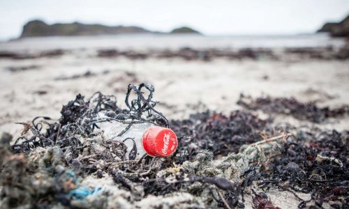 Boycott de The Coca Cola Compagny