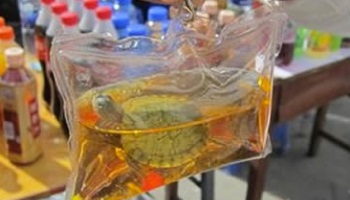 Halte aux porte-clés vivants en Chine