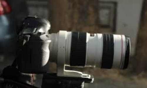 Contre la suppression de l'option cinéma (CAV) du lycée de Meylan (LGM)