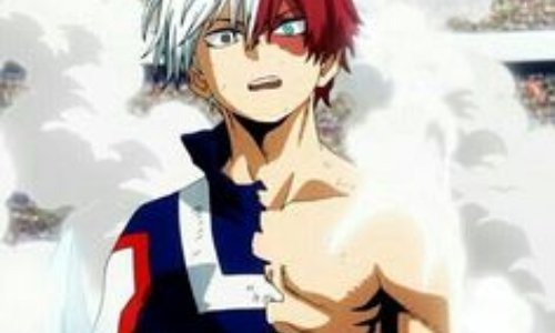 Greffe de tétons pour Shoto Todoroki