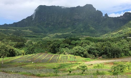 Ne sacrifiez pas la vallée de Faaroa pour un centre d'enfouissement de déchets