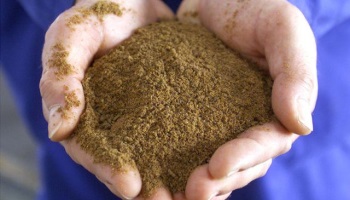 Pour la non-utilisation de farine animale