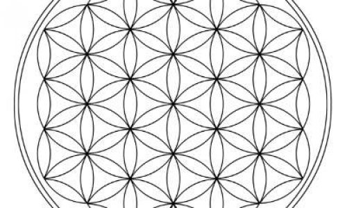 Le RIC ou RIP, oui, pas demain MAIS AUJOURD’HUI, TOUT DE SUITE, sortons immédiatement de la prison !