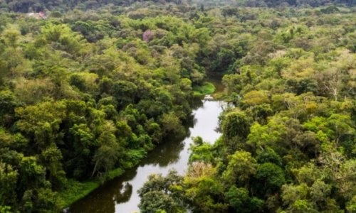 Pour clôturer immédiatement le Projet Montagne d’Or