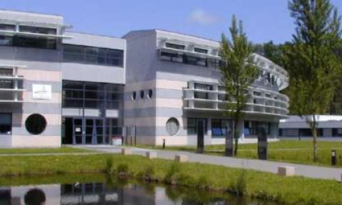 Pétition contre la suppression de l'option langues, littératures et cultures étrangères