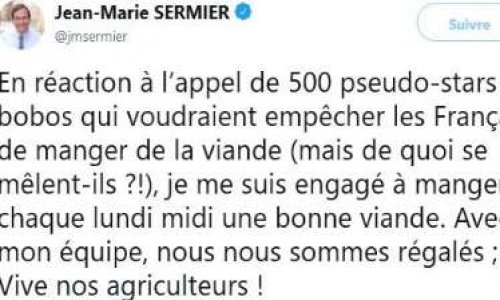 Jean-Marie Sermier -> Démission!