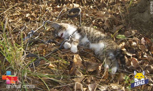 NON AUX PIEGES TUANTS