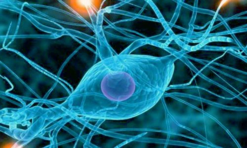 Non, ce n'est pas un miracle, des tétraplégiques, des paraplégiques peuvent remarcher