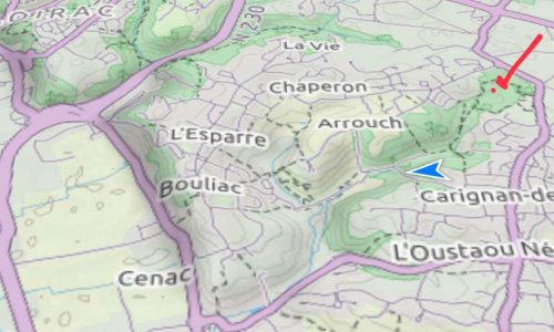 Non à l'abattage de la foret belle étoile