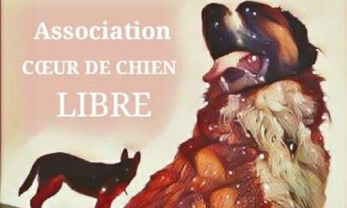 SOS Association Coeur de Chien Libre bientôt à la rue