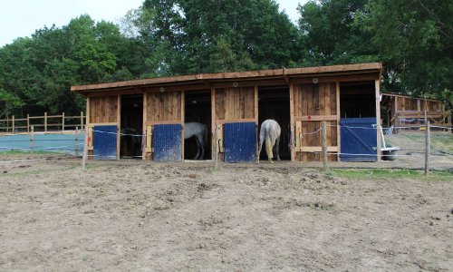 Écurie en danger de démolition, chevaux en péril !