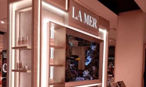 Un poisson est un être vivant, pas une décoration publicitaire !