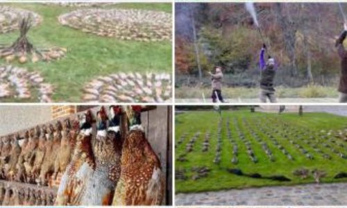 RÉGULATION, en êtes-vous sûrs ?