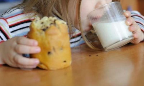 Pétition en faveur de l'élimination de l'huile de palme dans les collations distribuées par la CSDM.