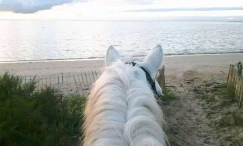 Accès à la plage de Saint-Froult