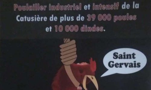 NON au POULAILLER INDUSTRIEL de la CATUSIERE à SAINT GERVAIS