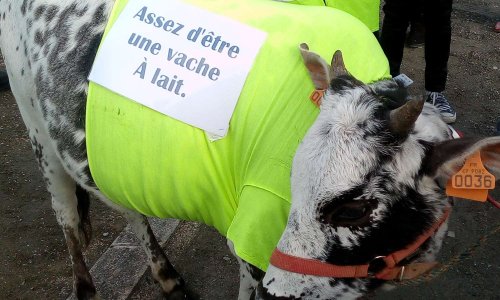 Indexation immédiate des retraites et suppression totale des 1.7% de CSG