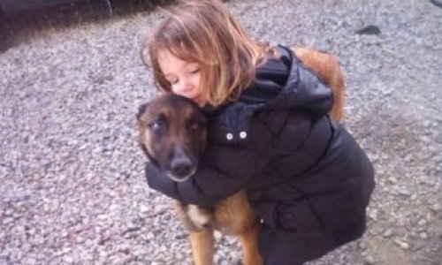 Contre l’euthanasie d’un chien qui protégeait bien sa famille