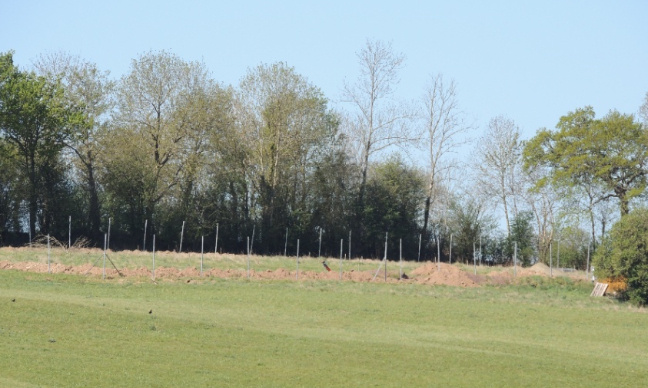 Entre Granville et Villedieu-les-Poêles, mobilisation contre un projet d’élevage intensif de chiens