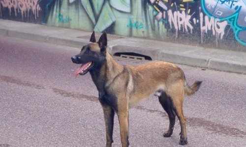 Poursuivi pour avoir défendu ma maison