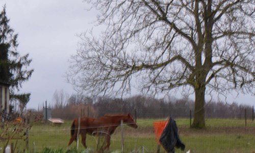 NON À L’URBANISATION ABUSIVE DE NOS CAMPAGNES !