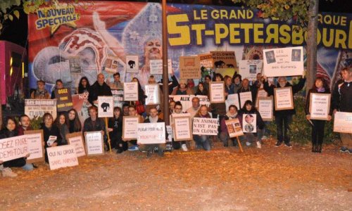 Non aux cirques avec animaux à Bourges