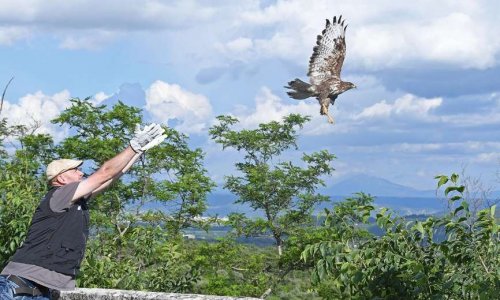 Non à la fermeture du centre de sauvegarde de la faune sauvage de la LPO (Ligue pour la protection des oiseaux)