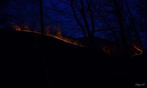 STOP AUX ÉCOBUAGES AU PAYS BASQUE