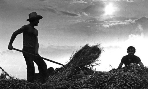 La CNAV et la CARSAT m'ont tué à deux reprises