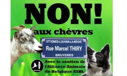 Non aux chèvres à la rue Marcel Thiry! Créons un espace pour nos chiens!