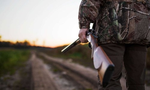 STOP AU TERRORISME DES CHASSEURS EN FRANCE!