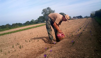 Lettre des agriculteurs au Ministre de l’Agriculture à propos des Cotisations Volontaires Obligatoires