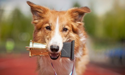 Faire cesser les achats abusif de votes par carte bleue