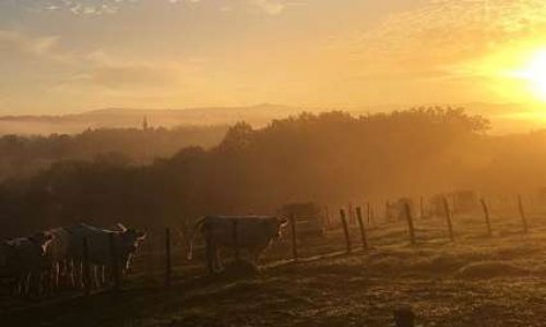 NON à l'implantation d'une antenne relais à proximité des habitations et de l'école de NANDAX 42