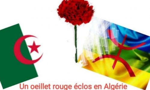 SOLIDARITÉ AVEC LE PEUPLE ALGÉRIEN