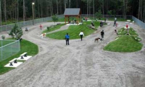 Création d'un parc canin