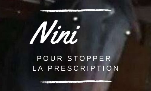 Rendre justice à ma jument tuée par balle en Janvier 2009