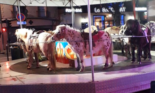 Pétition contre le carrousel à Poneys de Revel