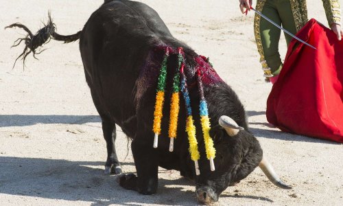 Non à la reprise de la corrida à Lunel