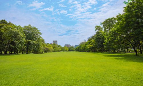 ENTRETIEN ET PROPRETE ESPACES VERTS MAYAC