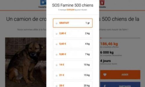 Animalwebaction.com : ne prenez plus 150 % de marge sur nos dons !