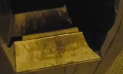 Contre la violence faite  aux animaux