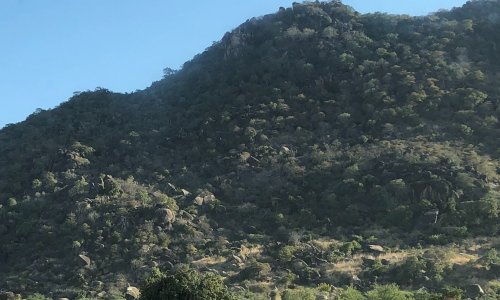 Mesures conservatoires relatives à la vacance à la tête de l’ADEMAT