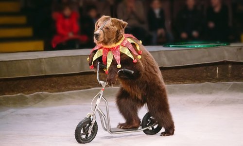 Non aux cirques avec animaux