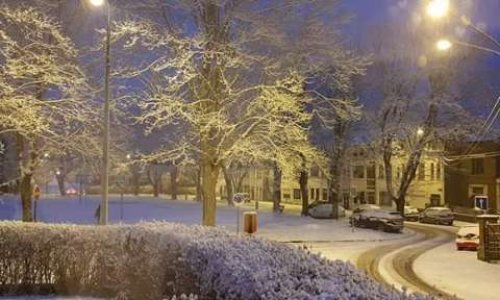 NON à l'abattage des ARBRES REMARQUABLES de la Place du Centenaire et à leur remplacement par des aires de stationnement !
