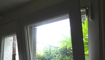 Danger des fenêtres oscillo-battantes pour nos chats !