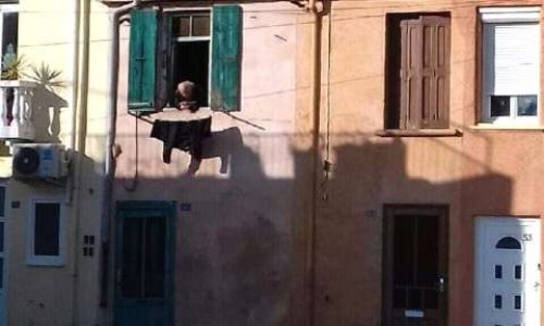 Il se laisse mourir, la mairie est en train d'assassiner ses pigeons !