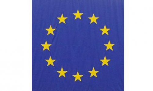 Défendre la liberté d’expression des candidats aux élections  Européennes.