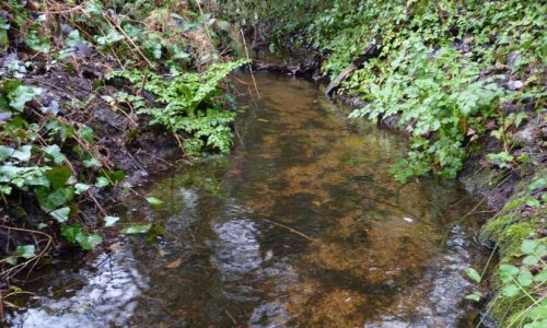 Non au bétonnage du côteau Turballais!